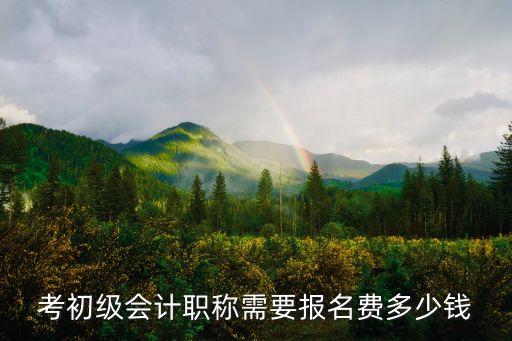 考初级会计职称需要报名费多少钱