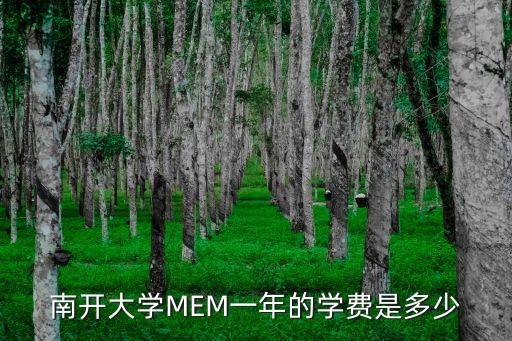 南开大学MEM一年的学费是多少