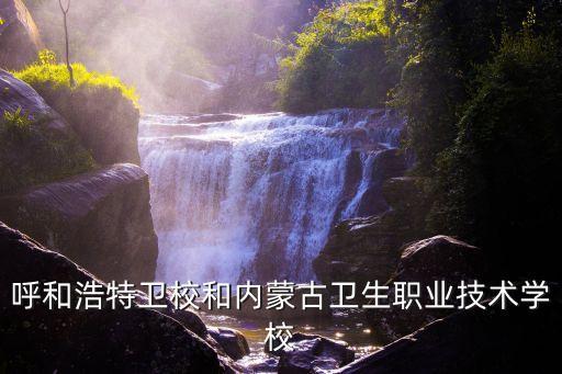 呼和浩特卫校和内蒙古卫生职业技术学校