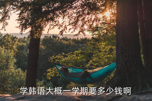学韩语大概一学期要多少钱啊