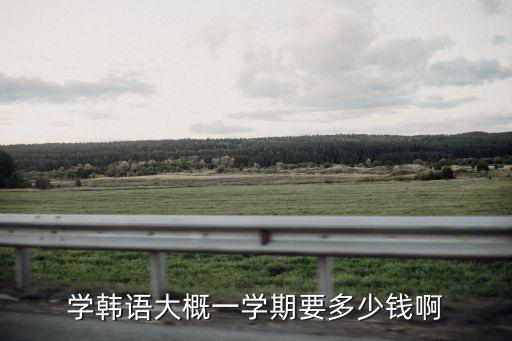 学韩语大概一学期要多少钱啊