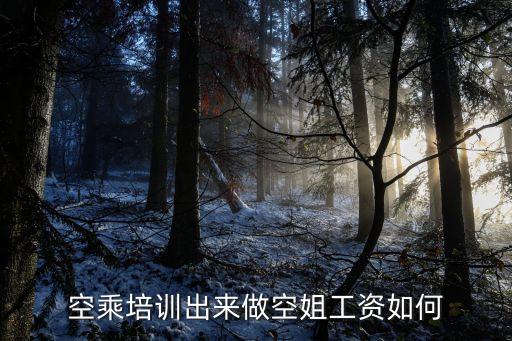 空乘培训老师工资多少，年龄航空公司培训专员薪金怎样