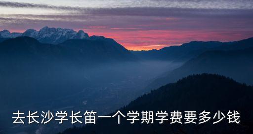 去长沙学长笛一个学期学费要多少钱