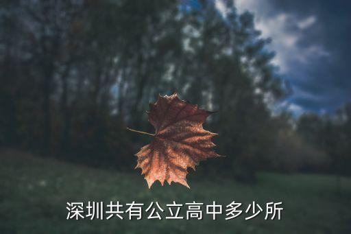 深圳共有公立高中多少所