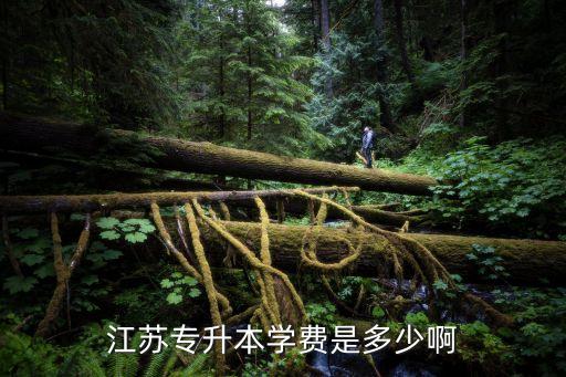 江苏专升本学费是多少啊