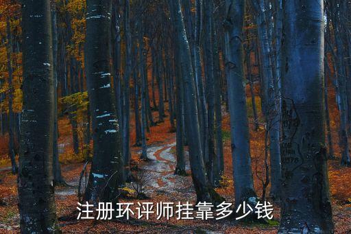 注册环评师挂靠多少钱