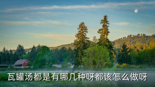 瓦罐汤都是有哪几种呀都该怎么做呀