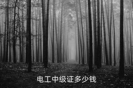 电工中级证多少钱