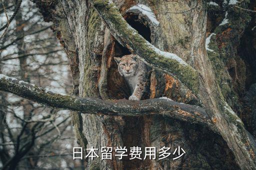 日本留学费用多少