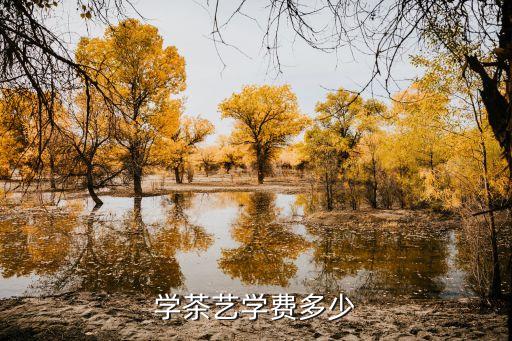 学习茶艺需要多少钱，学习茶道需要多少费用