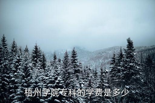 梧州学院专科的学费是多少