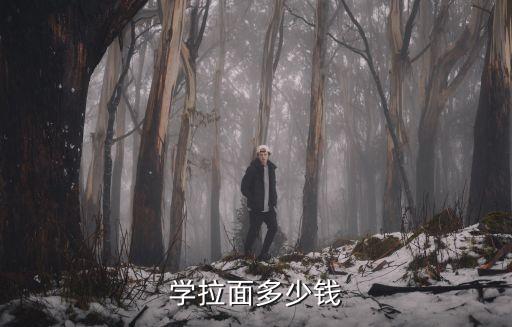 学拉面多少钱