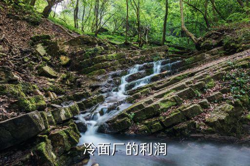 加工冷面利润多少，冷面厂的利润