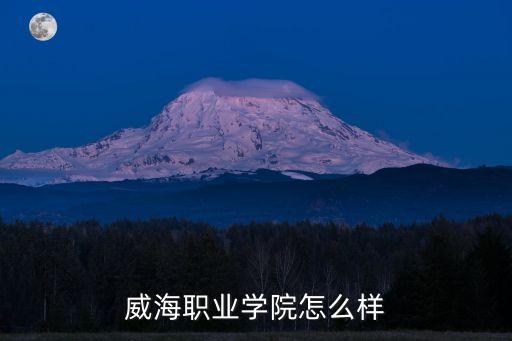 威海职业学院怎么样