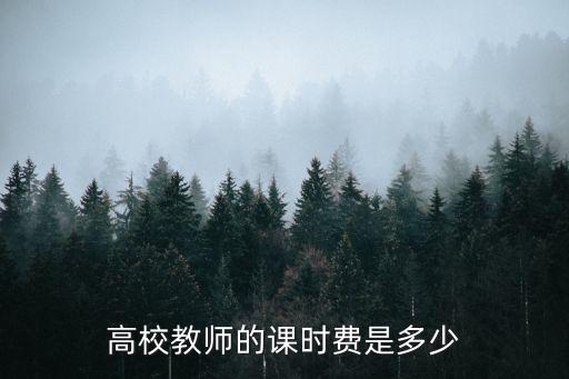 大学教师一节课多少钱，高校教师的课时费是多少