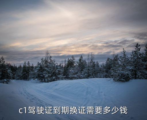 c1驾驶证到期换证需要多少钱