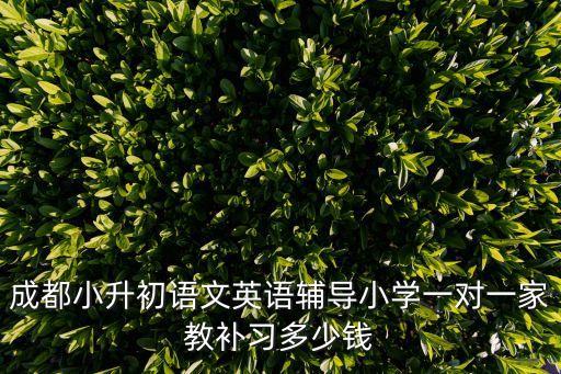 成都小升初语文英语辅导小学一对一家教补习多少钱