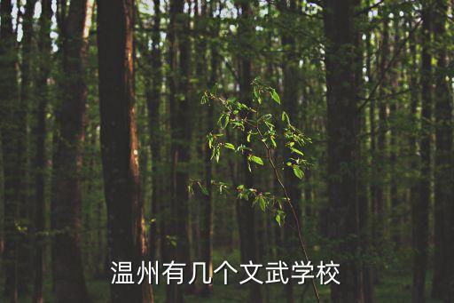 温州有几个文武学校