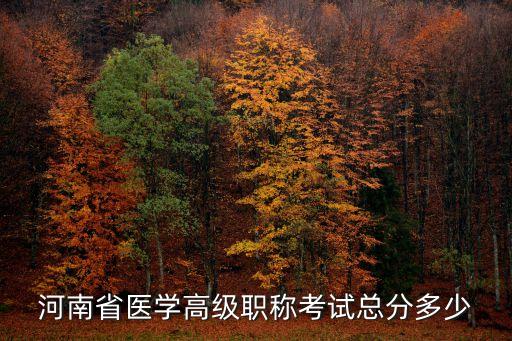 河南省医学高级职称考试总分多少