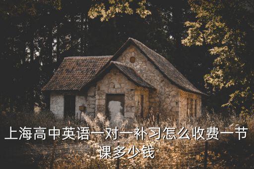 上海高中英语一对一补习怎么收费一节课多少钱