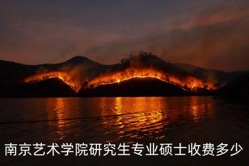 南京艺术学院研究生专业硕士收费多少