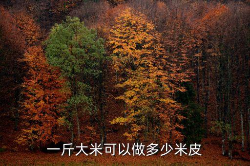 一斤大米可以做多少米皮