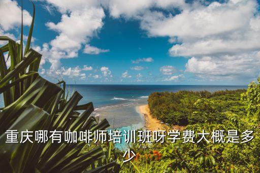 重庆哪有咖啡师培训班呀学费大概是多少