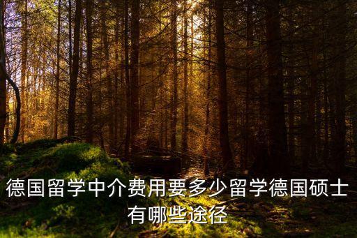 德国留学中介费用要多少留学德国硕士有哪些途径