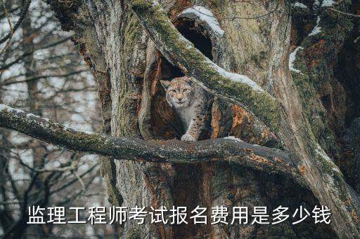 监理工程师考试报名费用是多少钱