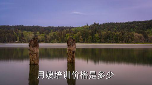 月嫂培训多少钱邹平，月嫂培训班要多少钱