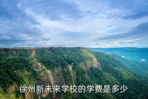 徐州新未来教育学费多少，徐州新未战多少钱