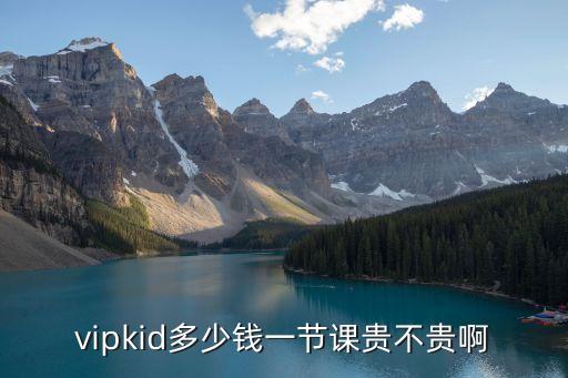 vipkid多少钱一节课贵不贵啊