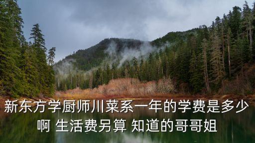 新东方学厨师川菜系一年的学费是多少啊 生活费另算 知道的哥哥姐