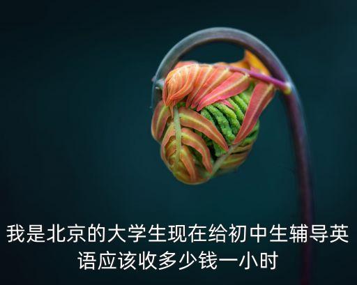 我是北京的大学生现在给初中生辅导英语应该收多少钱一小时