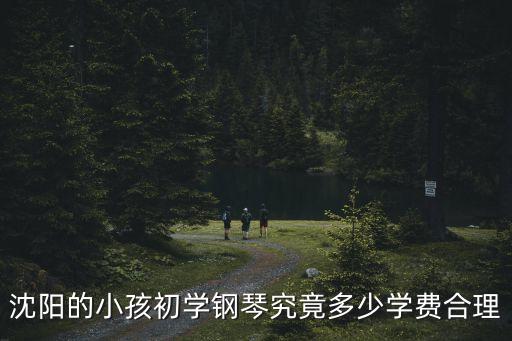 沈阳的小孩初学钢琴究竟多少学费合理