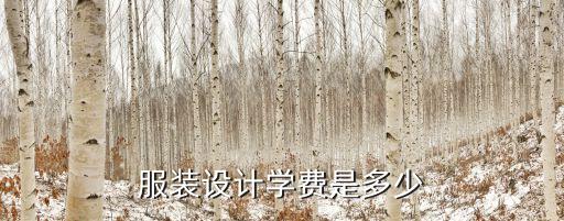 服装设计学费是多少