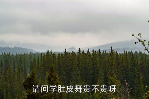 请问学肚皮舞贵不贵呀
