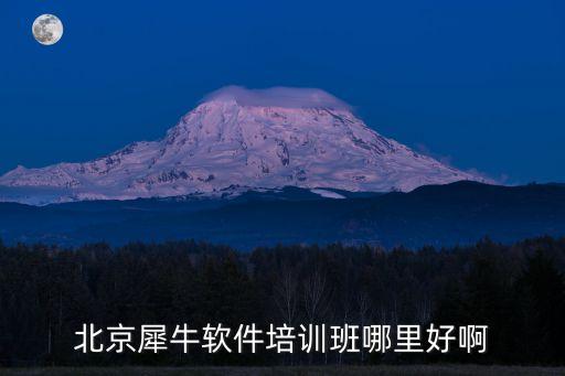 北京犀牛软件培训大概多少钱，北京哪里有犀牛软件培训的