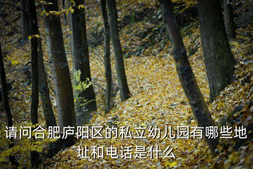 请问合肥庐阳区的私立幼儿园有哪些地址和电话是什么