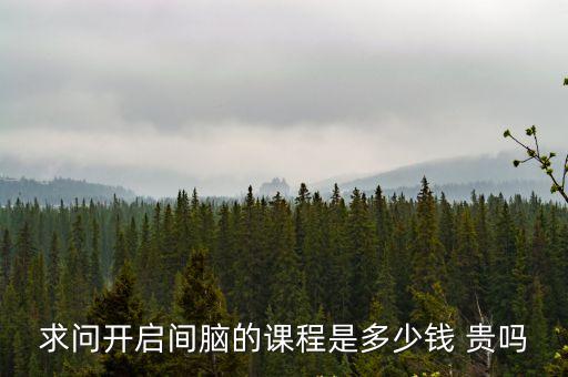 启智课程多少钱一套，求问开启间脑的课程是多少钱 贵吗