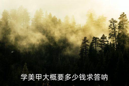 学习多少钱美甲培训班6，学美甲大概得花多少钱啊