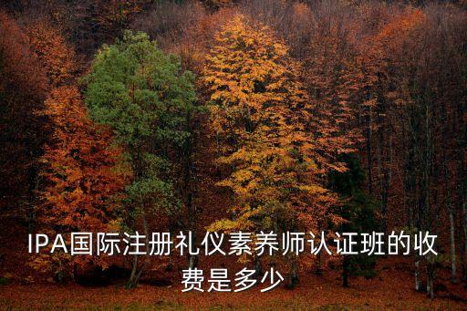 IPA国际注册礼仪素养师认证班的收费是多少
