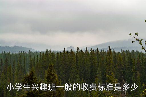 小学生兴趣班一般的收费标准是多少