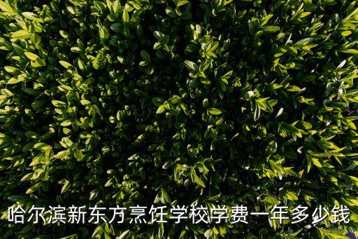在哈尔滨麻辣烫学费多少钱，哈尔滨新东方烹饪学校学费一年多少钱