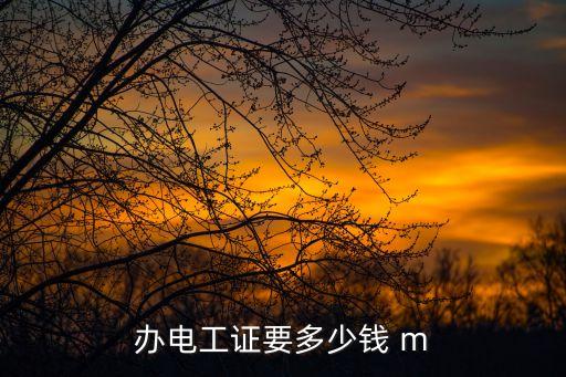 办电工证要多少钱 m