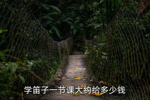 学笛子一节课大约给多少钱