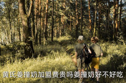 姜撞奶一般多少钱，姜撞奶一碗大约多少元