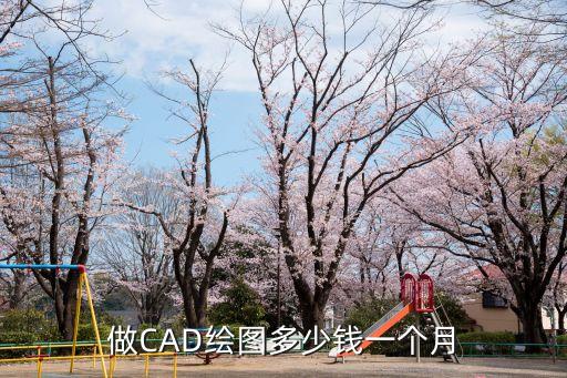 cad画图多少钱，请问下现在CAD绘图大概多少钱一张在重庆这个地方的朋友请帮忙回