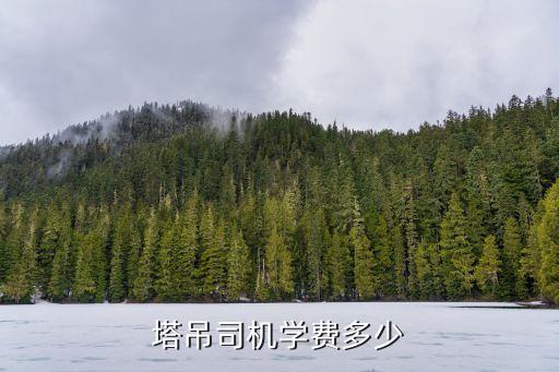 塔吊司机培训学费多少钱，学塔吊司机的学费多少