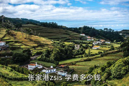 张家港zsis 学费多少钱